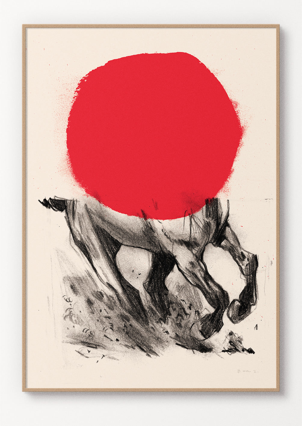 Horse sun