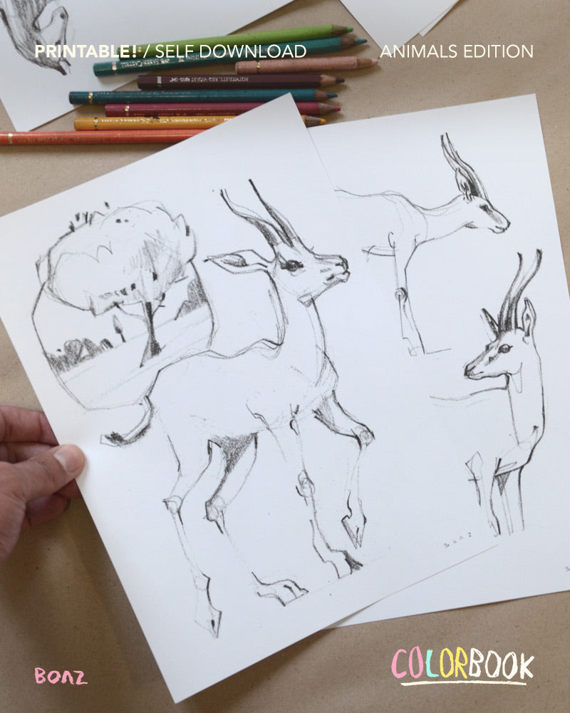 Printable Color book / Instant download / Animals edition