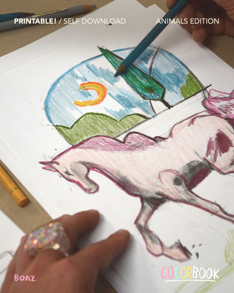 Printable Color book / Instant download / Animals edition