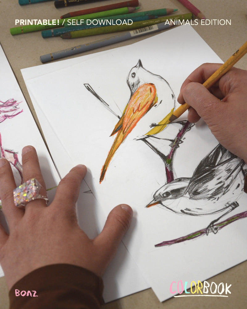 Printable Color book / Instant download / Animals edition