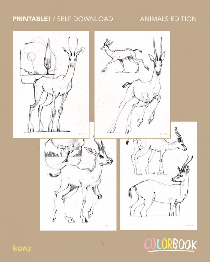 Printable Color book / Instant download / Animals edition